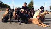 Rich Henry - Oakland Dog Walker